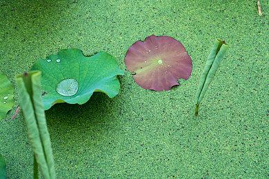 KK对战平台战令S1启程，500%超值豪华奖励等你探索！